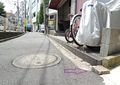 東京市電気局境界石標Ａ（新宿6丁目）周辺環境.jpg